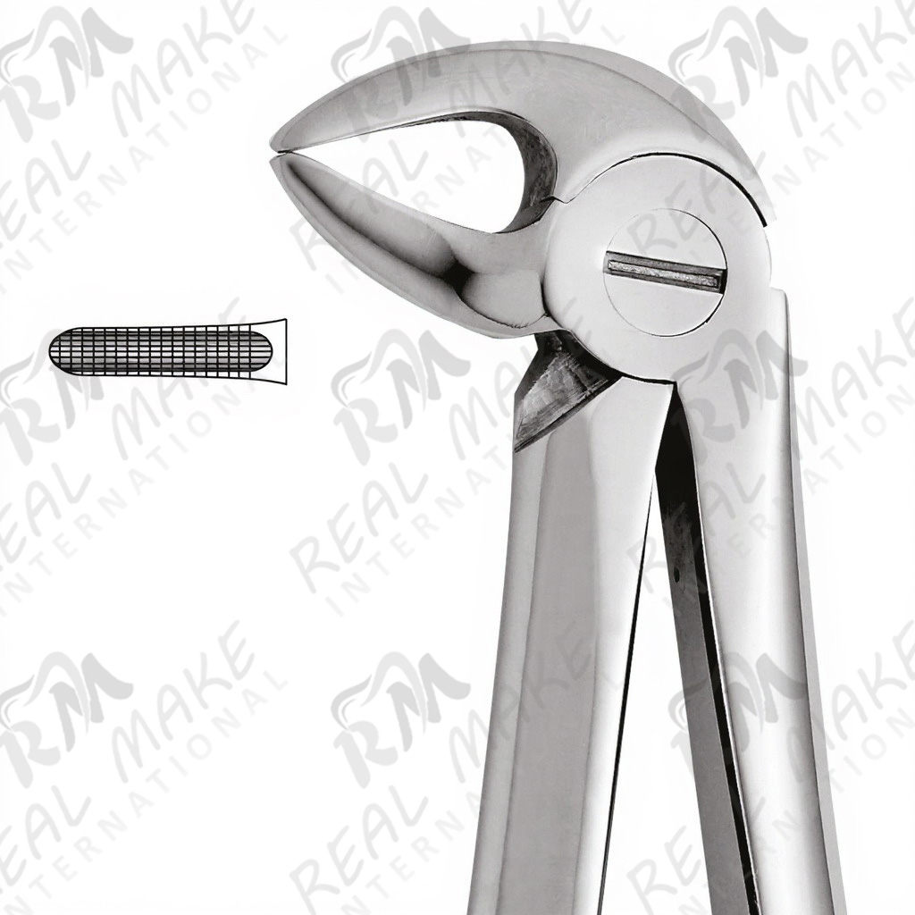 Tooth Forceps For Lower Roots