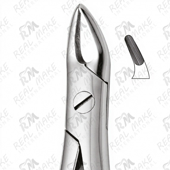 Tooth Forceps For Upper Roots
