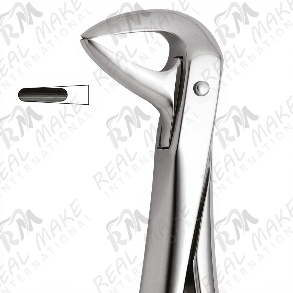 Tooth Forceps For Lower Roots & Incisors