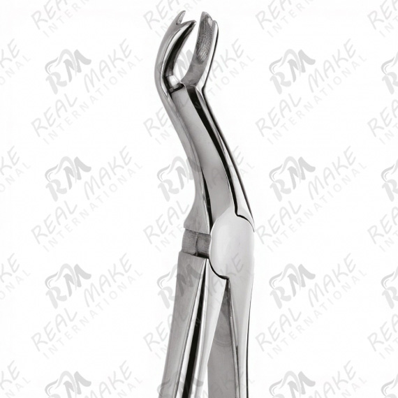 Tooth Forceps For Wisdom & Molar Roots
