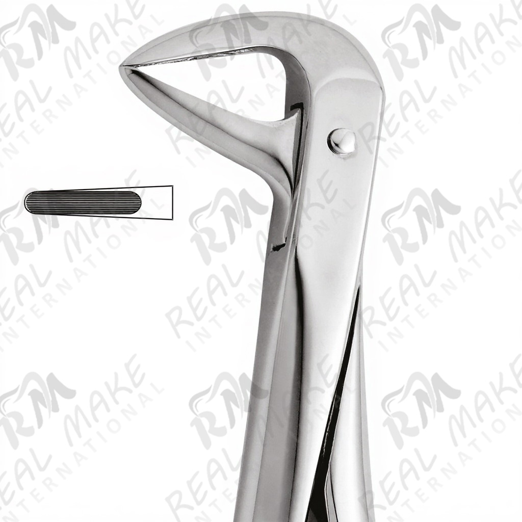 Tooth Forceps For Lower Roots & Centrals
