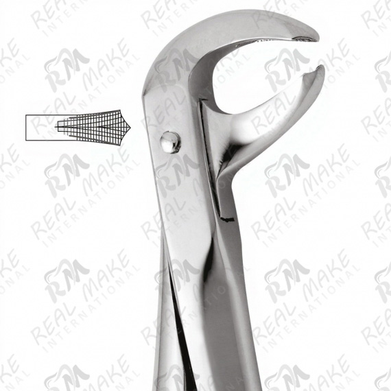 Tooth Forceps For Lower Molars