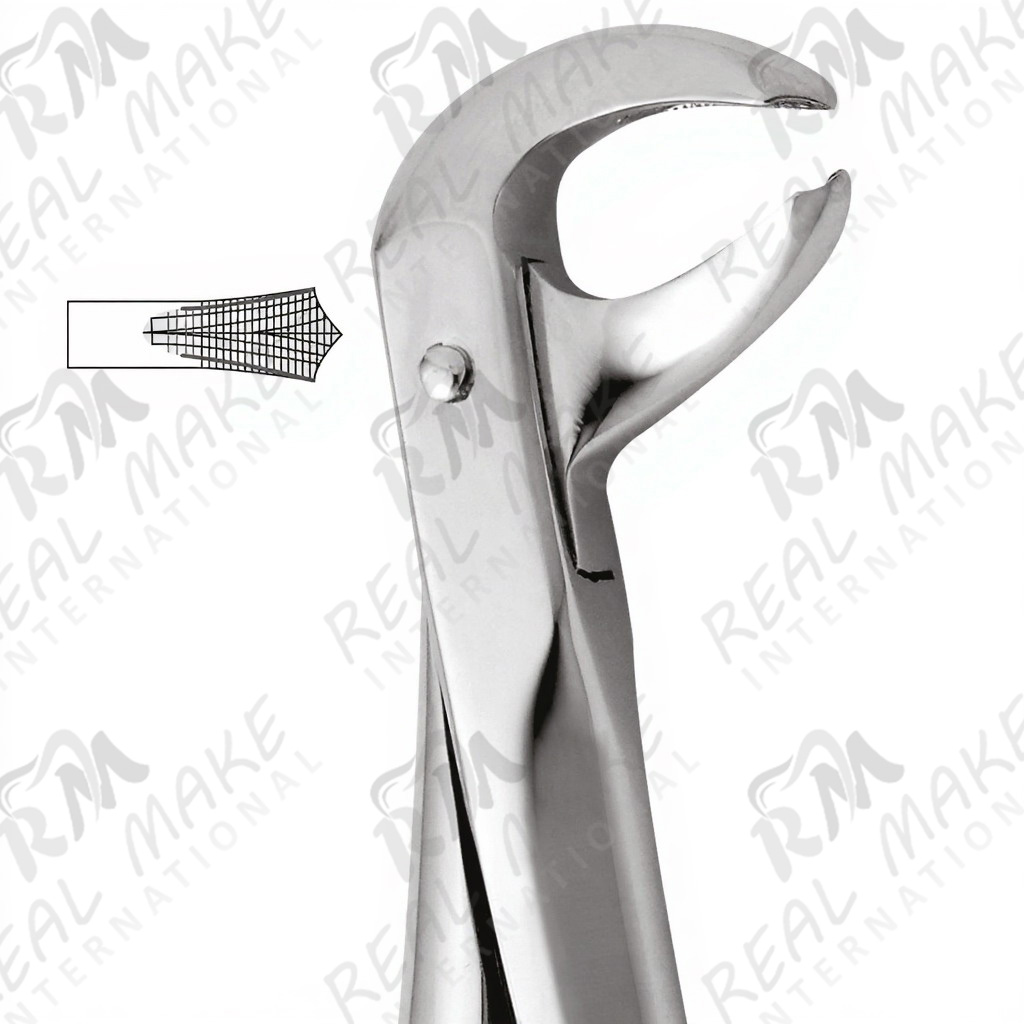 Tooth Forceps For Lower Molars