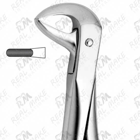 Pedodontic Tooth Forceps For Lower Teeth & Roots, For Children