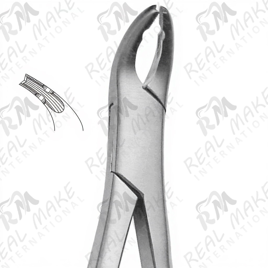 Pedodontic Tooth Forceps For Lower Teeth For Children