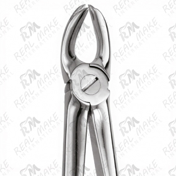 Tooth Forceps Universal Application