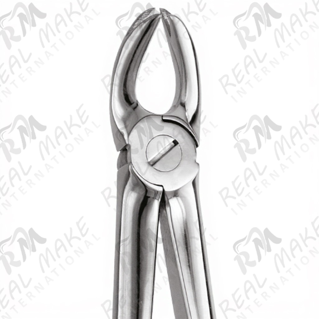 Tooth Forceps Universal Application