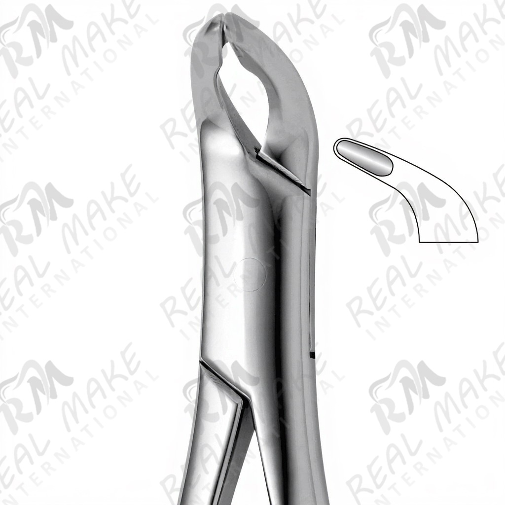 Tooth Forceps For Lower Incisors, Premolars & Roots Either Side