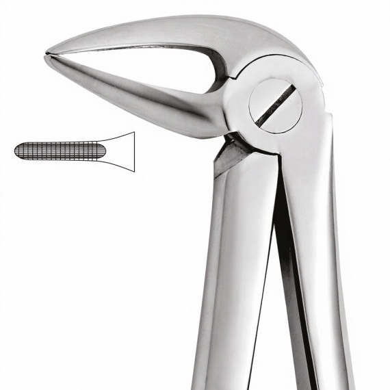 Tooth Forceps For Lower Roots