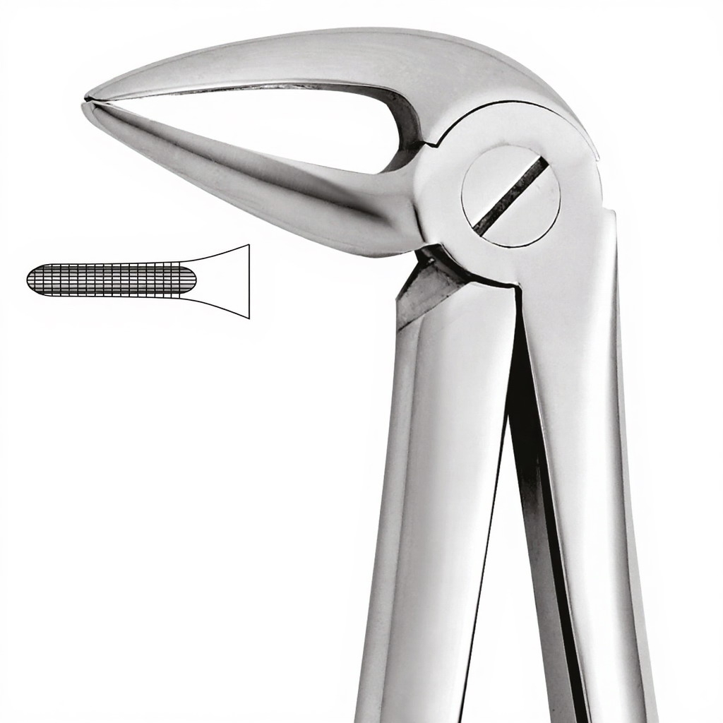 Tooth Forceps For Lower Roots