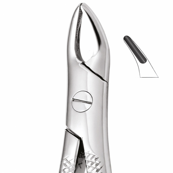Tooth Forceps For Upper Roots