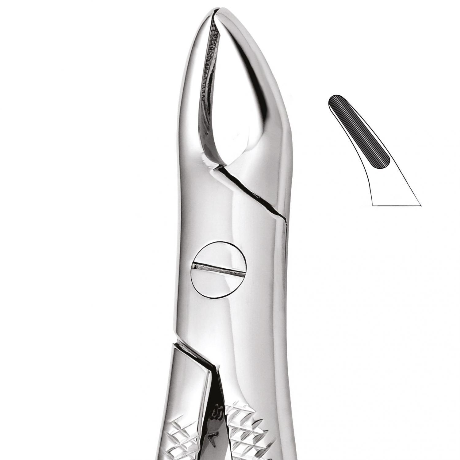 Tooth Forceps For Upper Roots