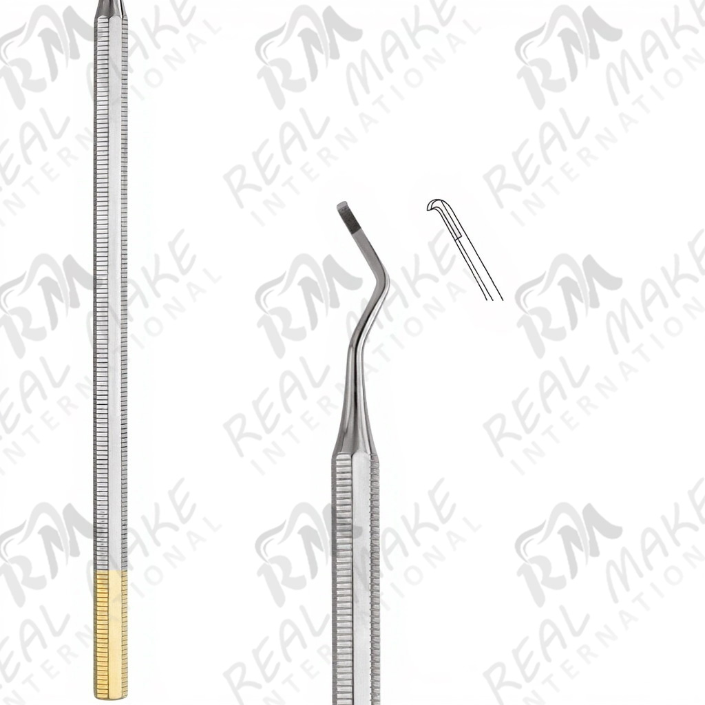 Hoe Tc - Posterior 2