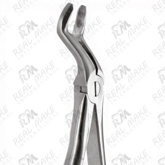 Tooth Forceps For Upper Third Molars & Upper Wisdom Either Side