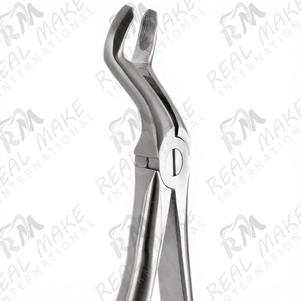Tooth Forceps For Upper Third Molars & Upper Wisdom Either Side