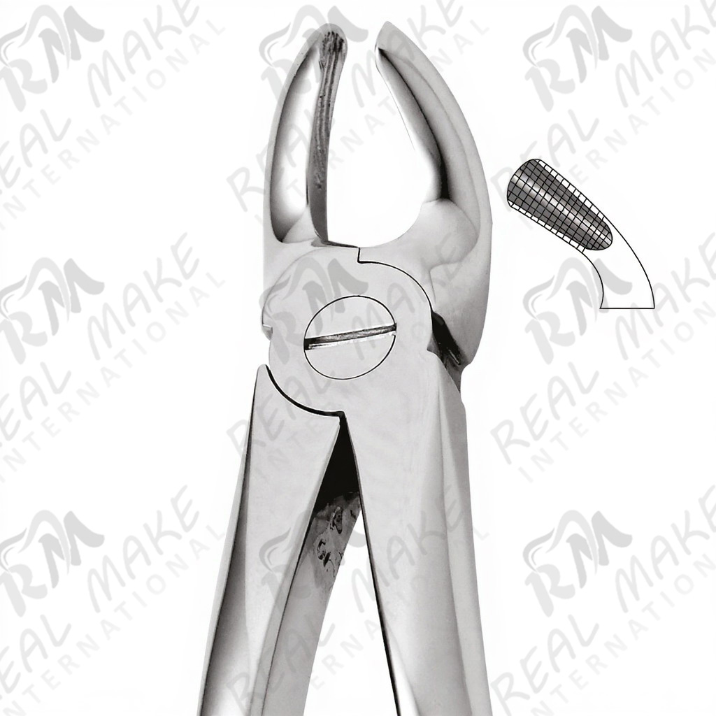 Tooth Forceps For Upper Third Molars & Upper Wisdoms Either Side
