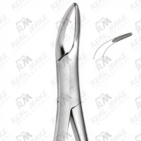 Tooth Forceps Universal for Upper Roots (Witzel)