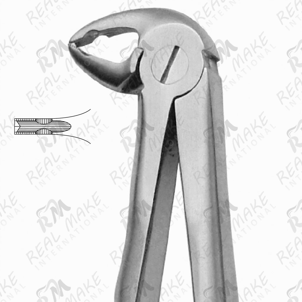 Pedodontic Tooth Forceps For Lower Teeth For Children