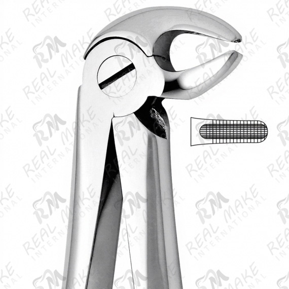 Tooth Forceps For Lower Premolars Either Side