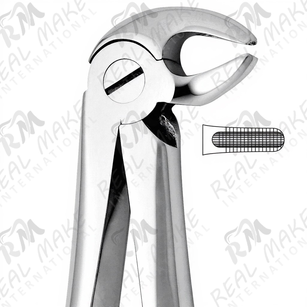 Tooth Forceps For Lower Premolars Either Side