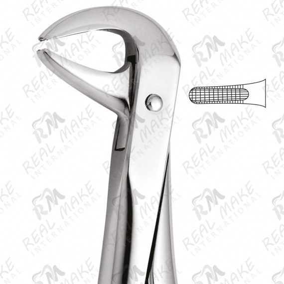 Tooth Forceps For Lower Incisors & Premolars