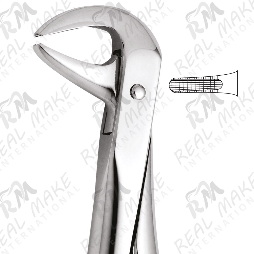 Tooth Forceps For Lower Incisors & Premolars