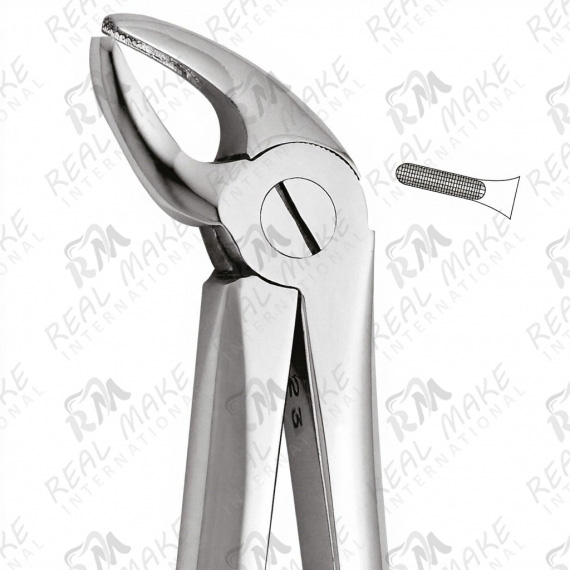 Tooth Forceps For Lower Incisors & Canines