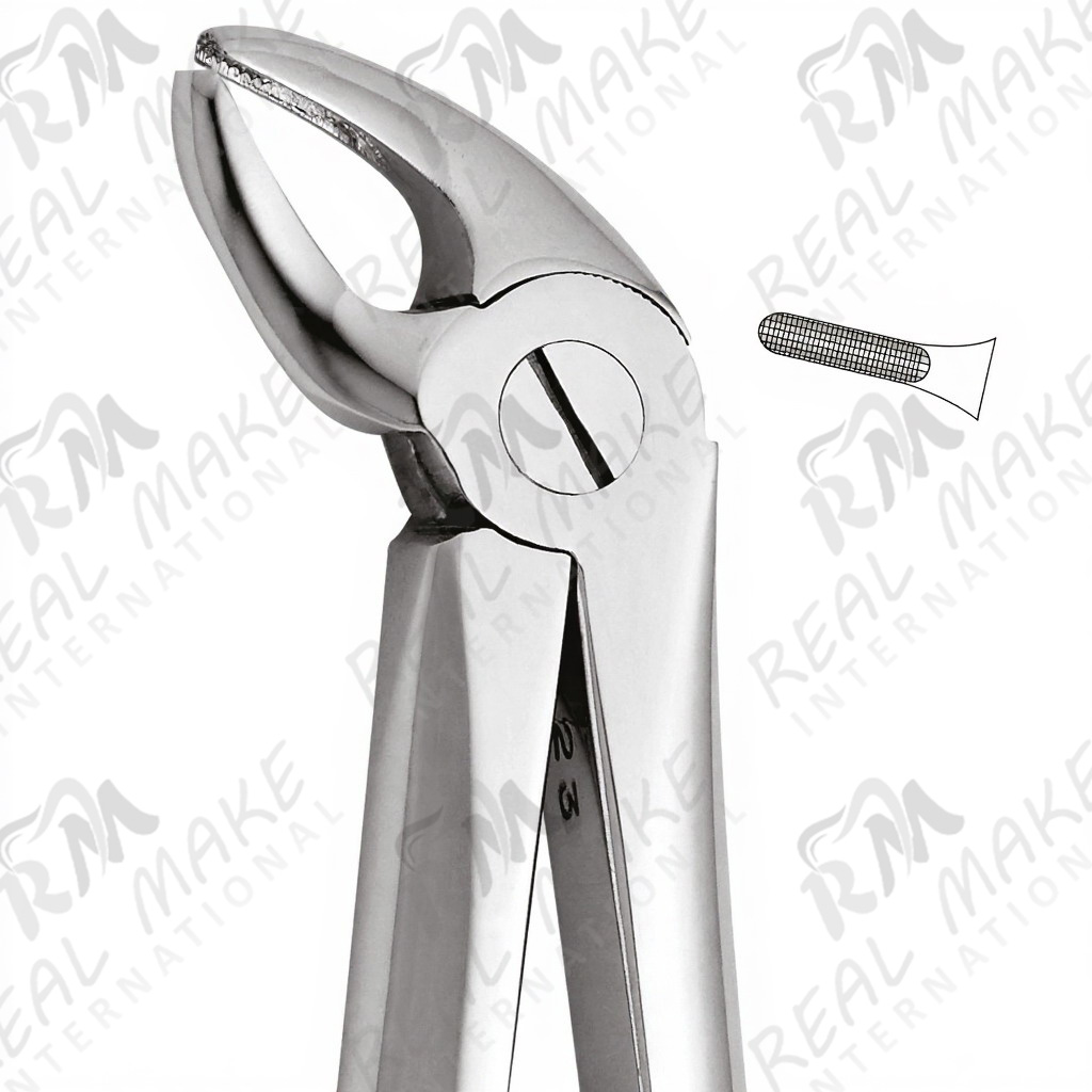 Tooth Forceps For Lower Incisors & Canines
