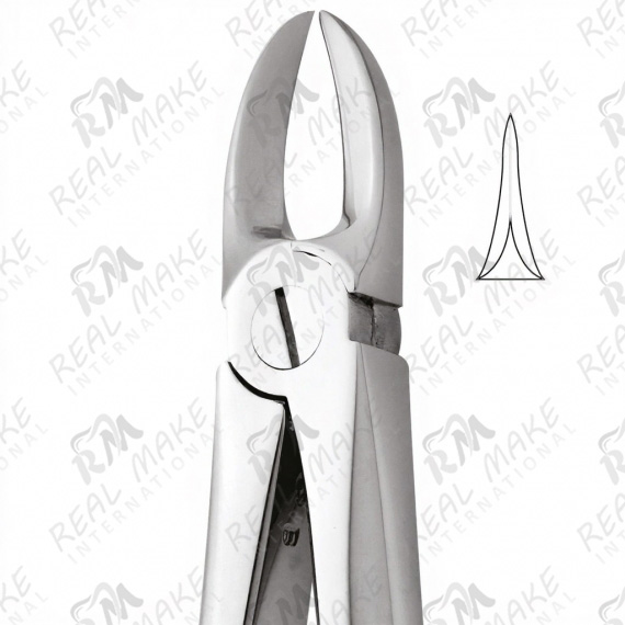 Tooth Forceps For Separating Upper Molars
