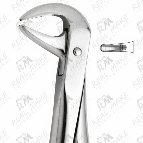 Tooth Forceps Lower Incisors & Premolars