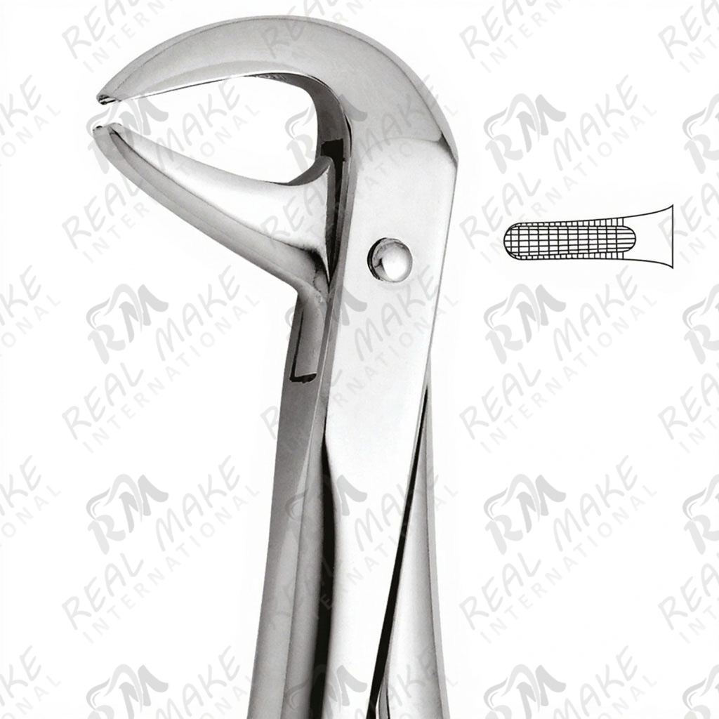 Tooth Forceps Lower Incisors & Premolars