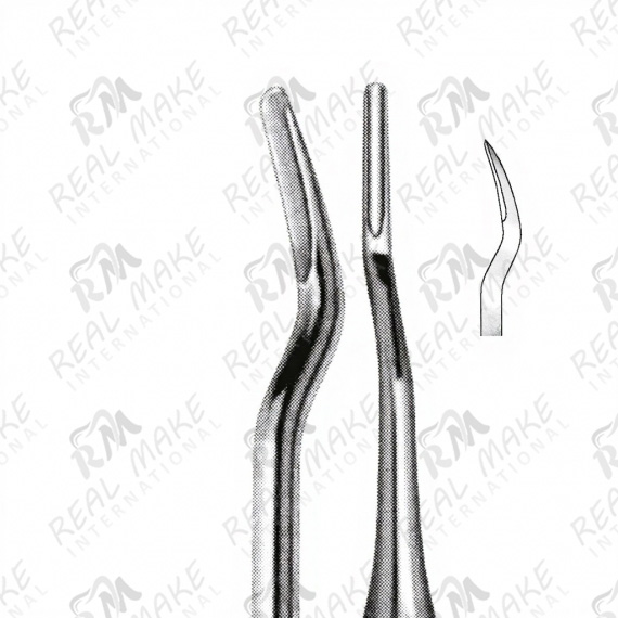 Root Elevators (Distal) (mm 2)