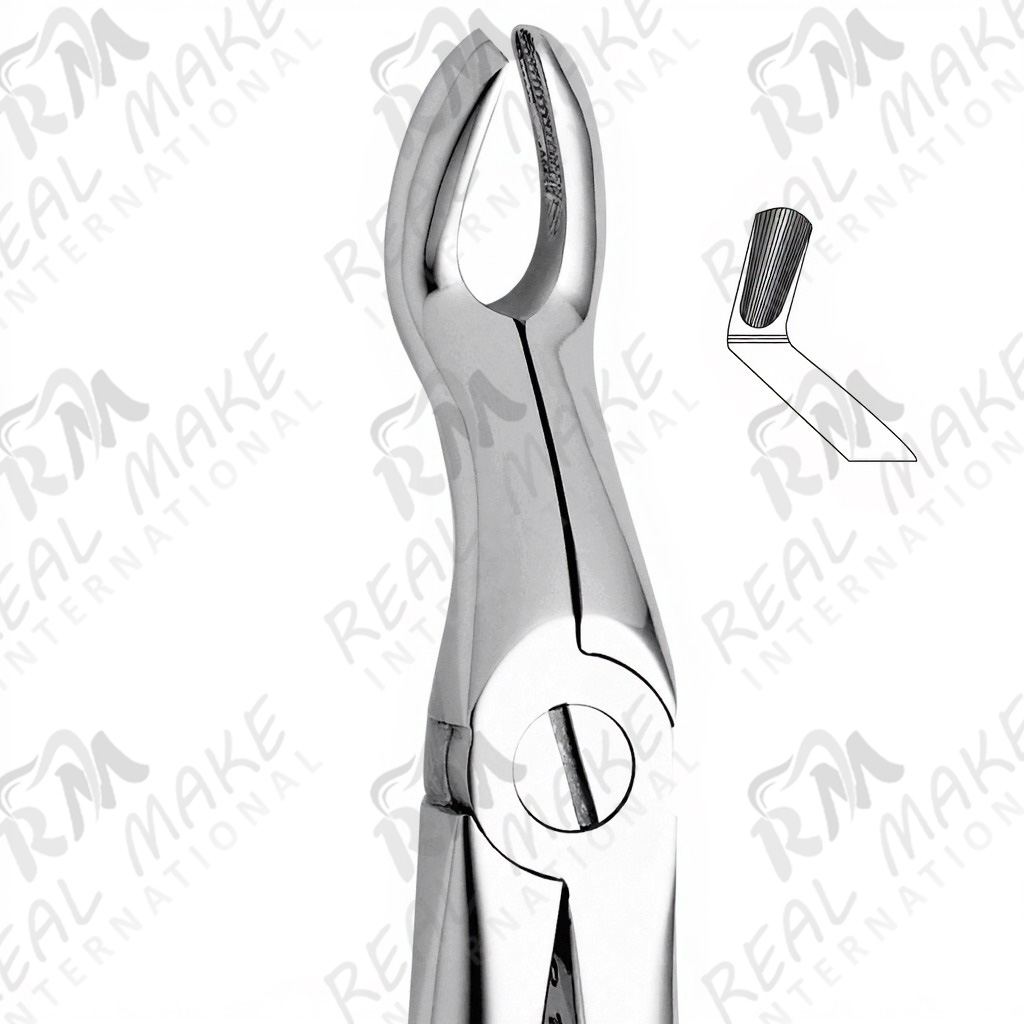 Tooth Forceps For Upper Third Molars & Upper Wisdoms Either Side