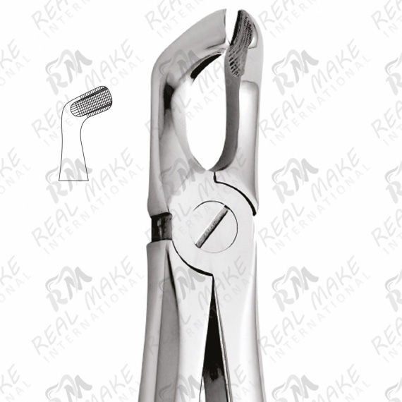 Tooth Forceps For Lower Third Molars