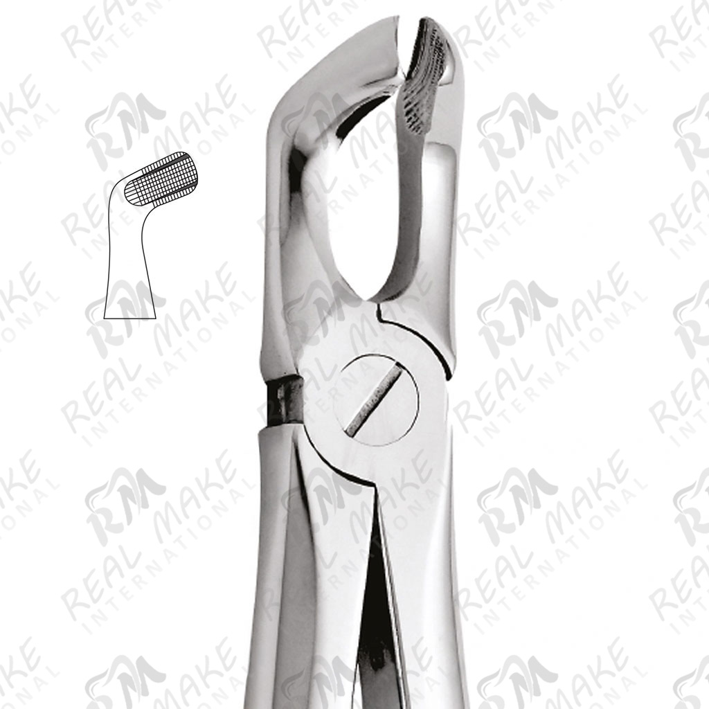Tooth Forceps For Lower Third Molars