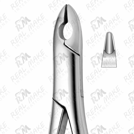 Tooth Forceps For Upper Premolars, Canines & Incisors