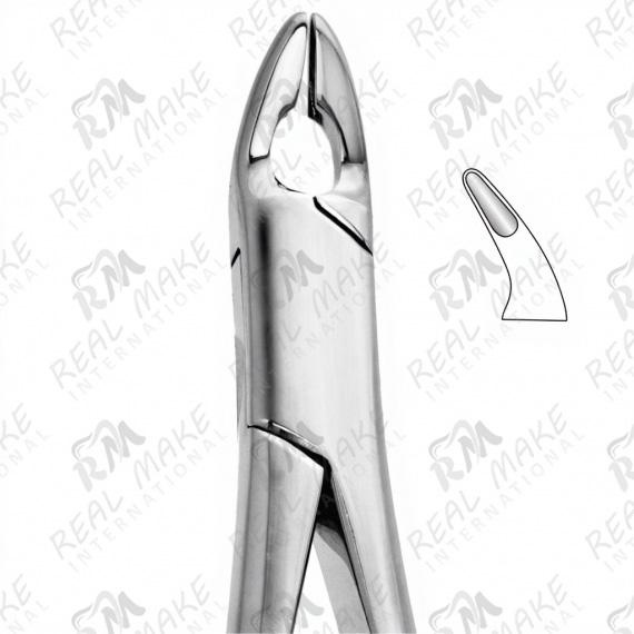 Tooth Forceps For Upper incisors, Premolars, Roots (Cryer)