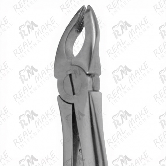 Tooth Forceps For Upper Premolars Deep Gripping