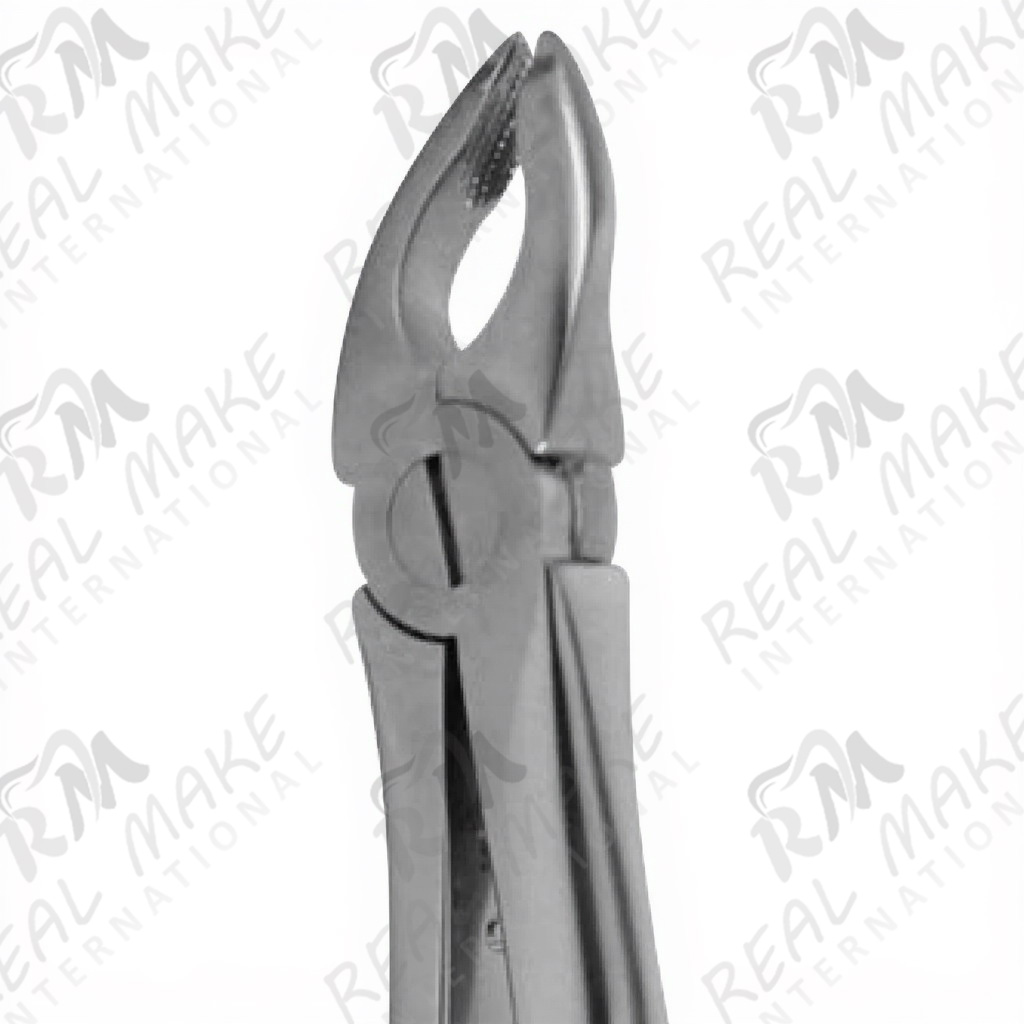  Tooth Forceps For Upper Premolars Deep Gripping