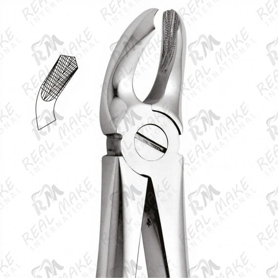 Tooth Forceps For Lower Third Molars
