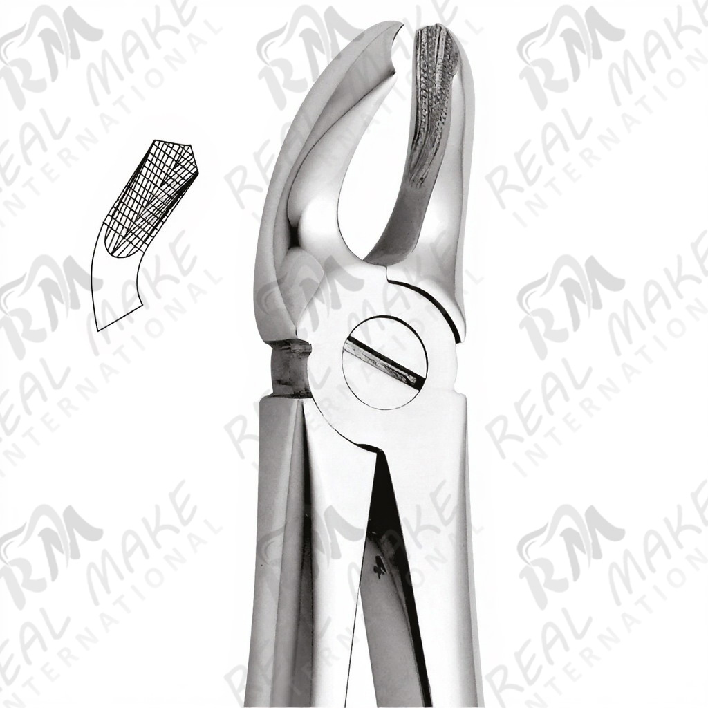 Tooth Forceps For Lower Third Molars