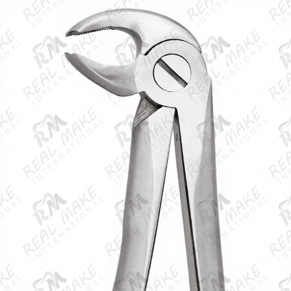Tooth Forceps For Lower Molars