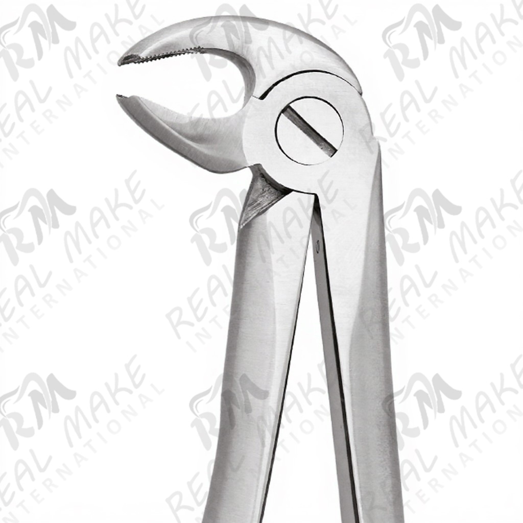 Tooth Forceps For Lower Molars