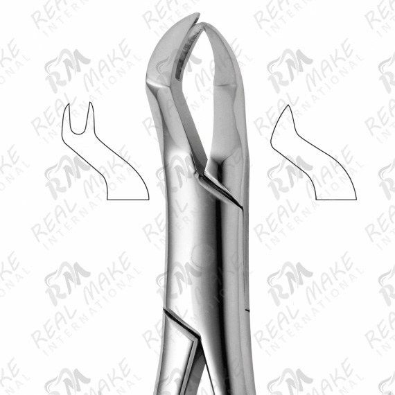 Tooth Forceps For Upper Molars Right (Nevius)