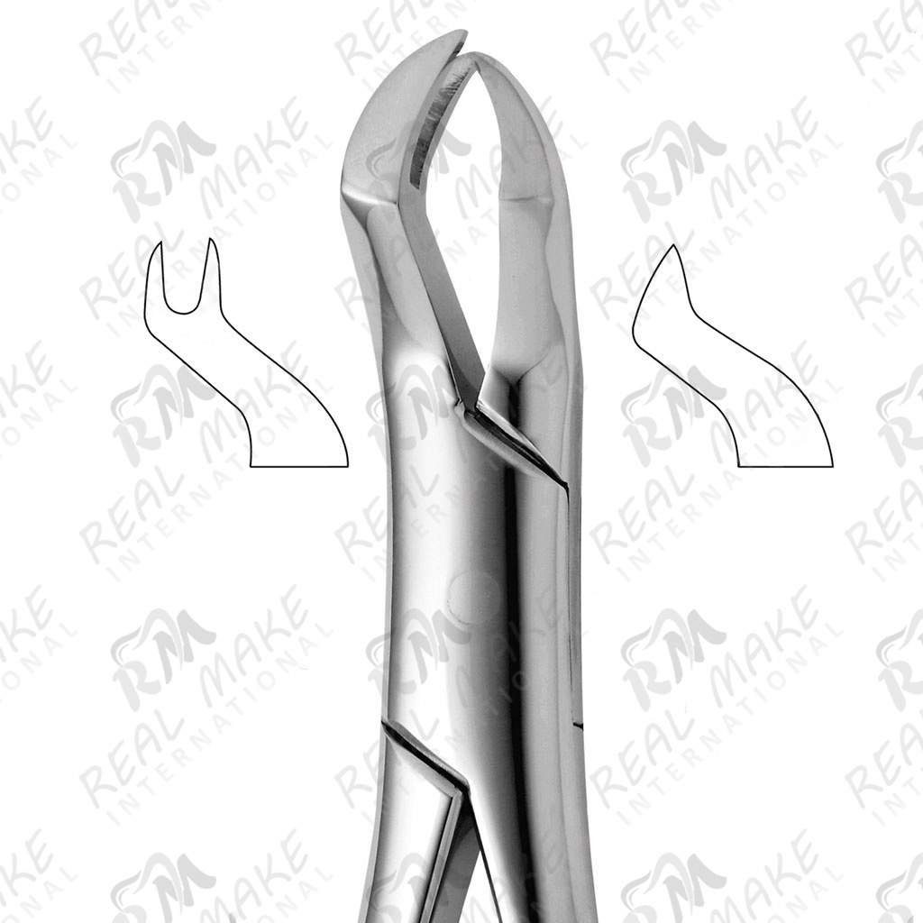 Tooth Forceps For Upper Molars Right (Nevius)